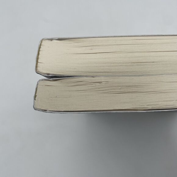 2 Books Juniper Wiles and Juniper Wiles and the Ghost Girls Charles de Lint PB - Picture 10 of 10